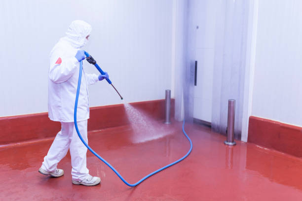 Best Building Exterior Washing  in Van Wert, OH